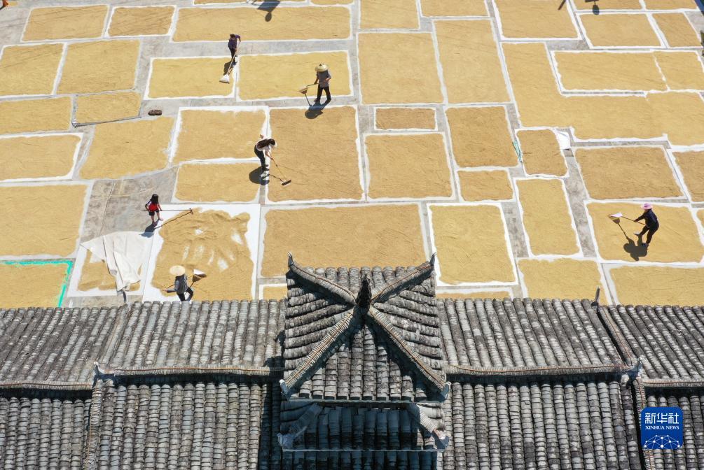 家乐软件bbin专用